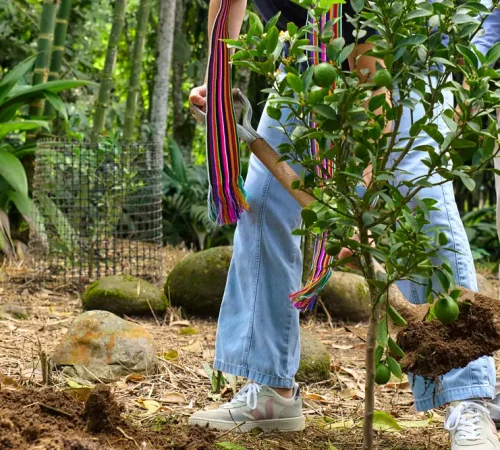 fundacion-san-luis-plan-padrinos